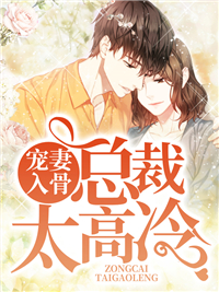 总裁太高冷宁暖宫轩烨