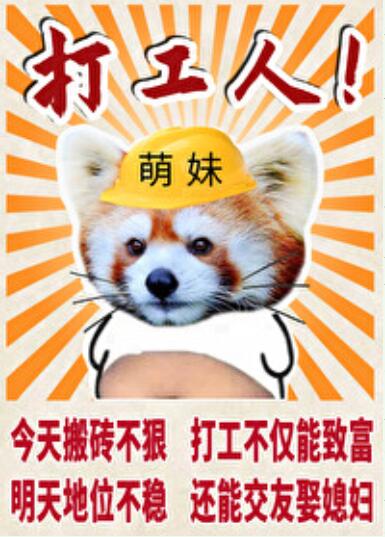 小熊猫的特殊任务技巧