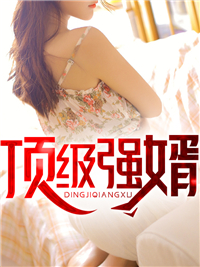 叶凌霄苏婉晴