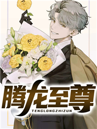 腾龙至尊林寒陆音瑶