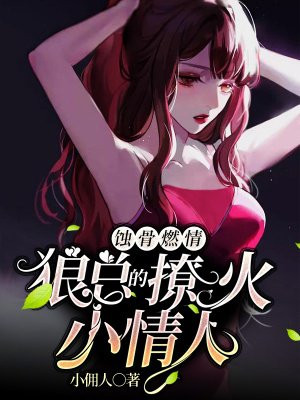 秦安安陆霖辰