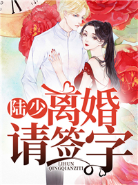 陆少离婚请签字苏黎陆宴初