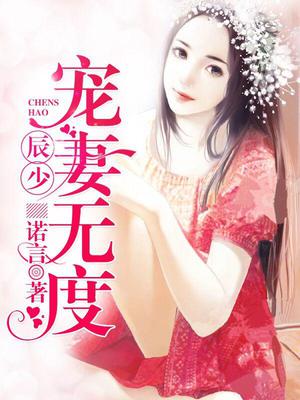 辰少宠妻无度