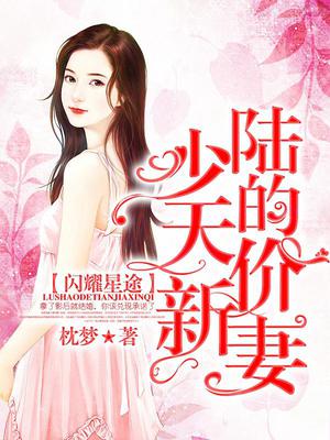 闪耀星途：陆少的天价新妻