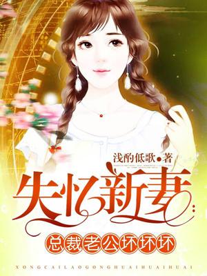 总裁老公坏坏坏
