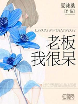 老板我很呆