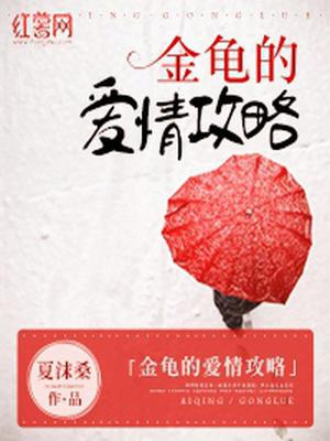金龟的爱情攻略