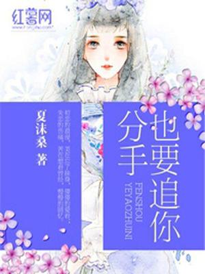 分手也要追你