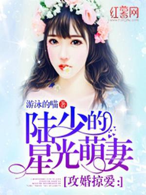 陆司延宋依然