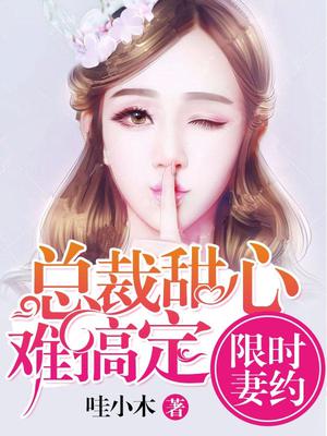 艾小晚顾西爵
