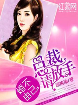 婚不由己，总裁请放手