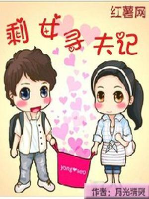 剩女寻夫记