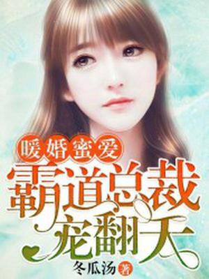 暖婚蜜爱：霸道总裁宠翻天