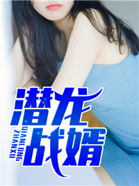 潜龙战婿陈锋