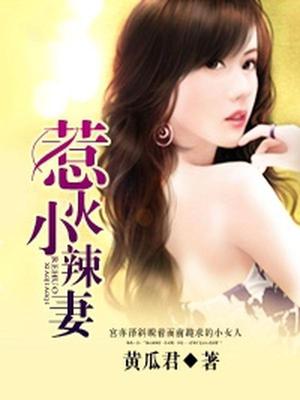 惹火小辣妻