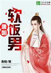 大唐小白脸/唐朝软饭男