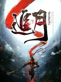 追月