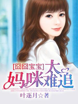 囧囧宝宝：妈咪太难追
