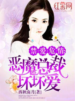 顾婉雪慕轩宸