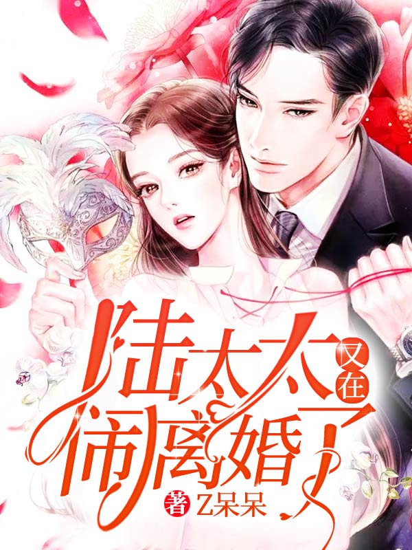 沈初染陆北司