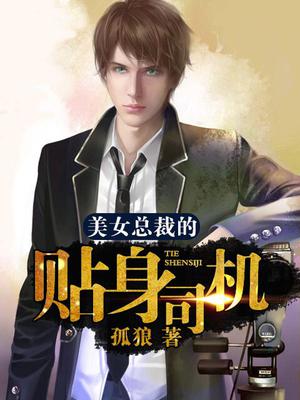 美女总裁的贴身司机李文龙