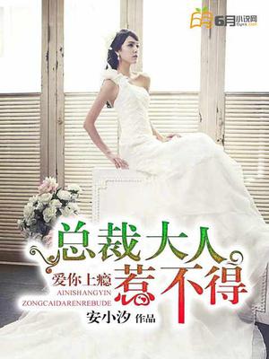 爱你上瘾：总裁大人惹不得