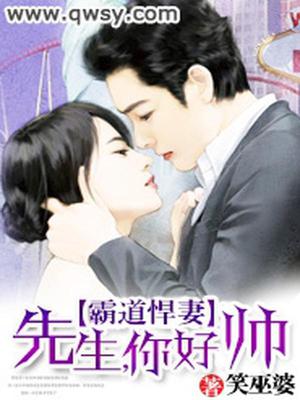 霸道悍妻：先生，你好帅