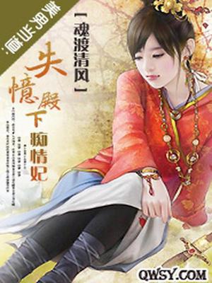 美男当道：失忆殿下痴情妃