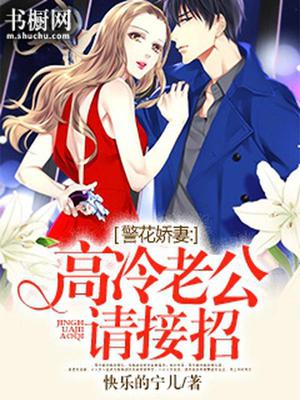 警花娇妻：高冷老公请接招