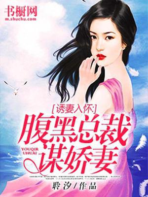 诱妻入怀：腹黑总裁谋娇妻