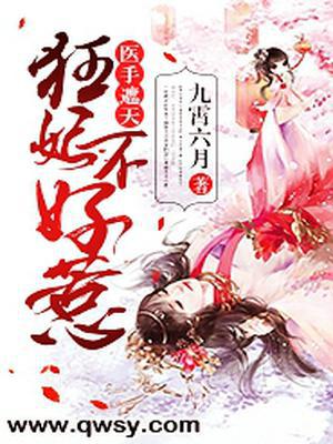 莫宸端木思