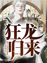 狂龙归来叶无忌