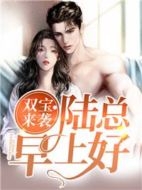 陆斯年夏子晴