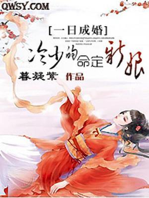 一日成婚：冷少的命定新娘