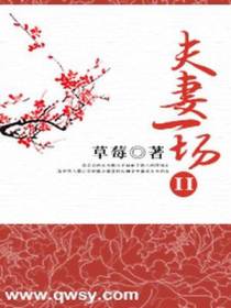 夫妻一场II