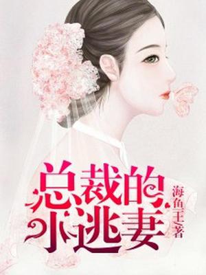 总裁的小逃妻