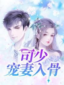 年寻夏司瑾丞