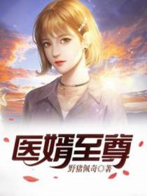 医婿至尊