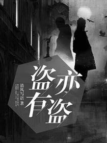 盗亦有盗