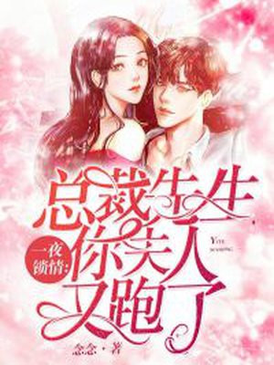 一夜锁情：总裁先生，你夫人又跑了