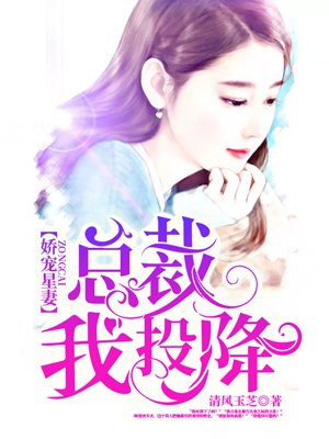 陆清欢薄言琛