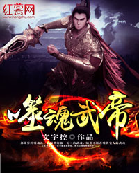 噬魂武帝林天