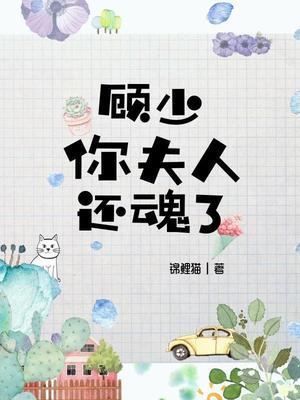 苏暖宁顾笙泽