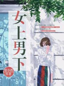 朱新张小查