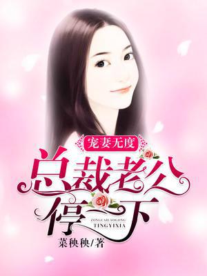 宠妻无度：总裁老公，停一下