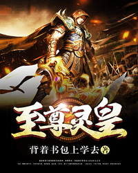 至尊灵皇洛天