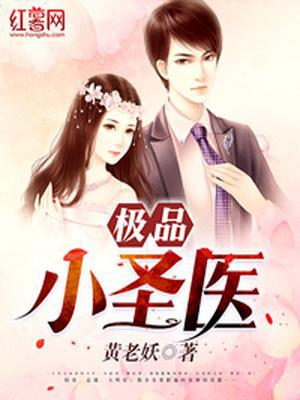 极品小圣医李易