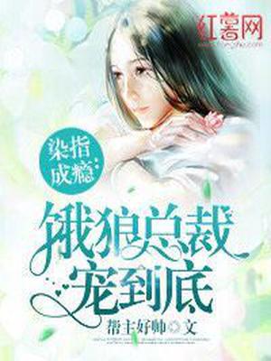 染爱成瘾：强势总裁宠到底