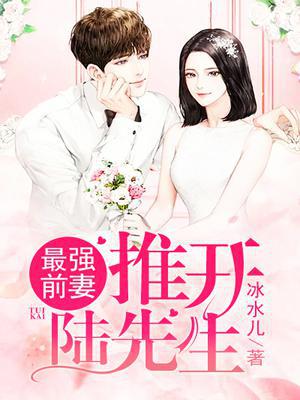 最强前妻：推开陆先生