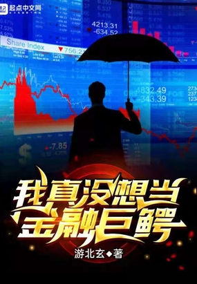 金融巨鳄：我能看见回报率